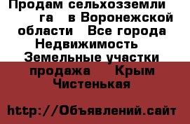 Продам сельхозземли ( 6 000 га ) в Воронежской области - Все города Недвижимость » Земельные участки продажа   . Крым,Чистенькая